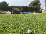 IMG_1510.jpeg