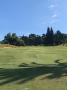 IMG_0018.jpeg