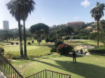 IMG_0084.jpeg