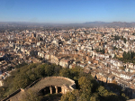 IMG_0063.jpeg