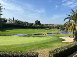 IMG_1426.jpeg